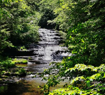 Huyck Preserve