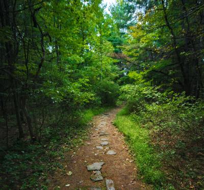 Wolf Creek Falls Preserve