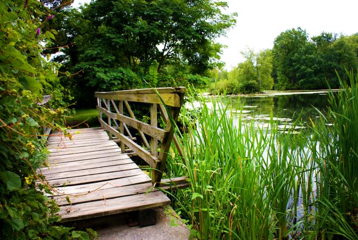 Ann Lee Pond and Nature Preserve