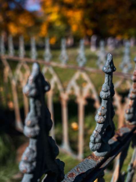 Albany Rural Cemtery Fall