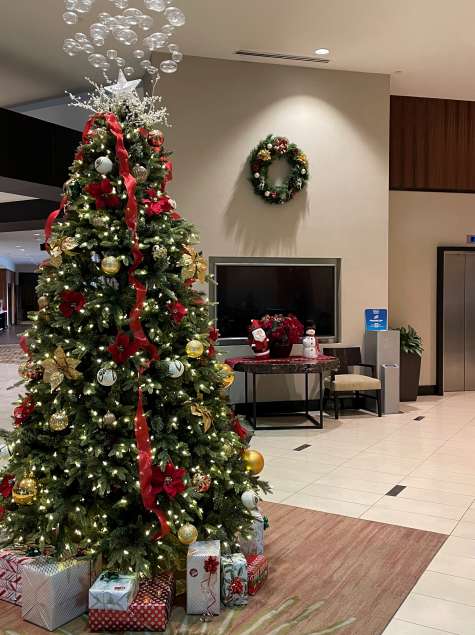 Holiday Hilton Albany Hotel