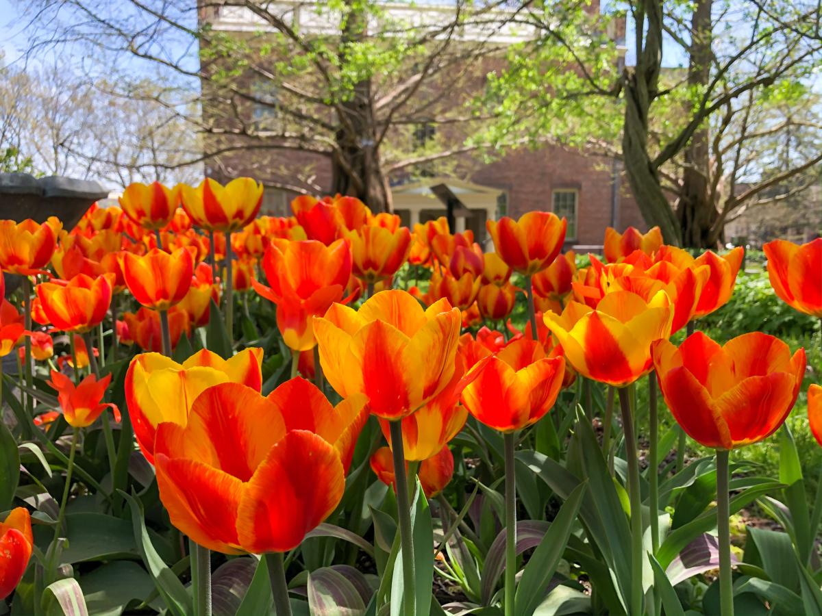 Ten Broeck Mansion garden