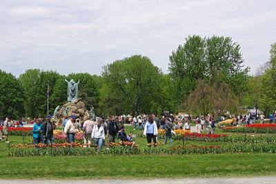 Tulip Festival
