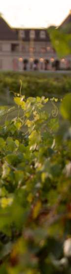 European Style Weddings