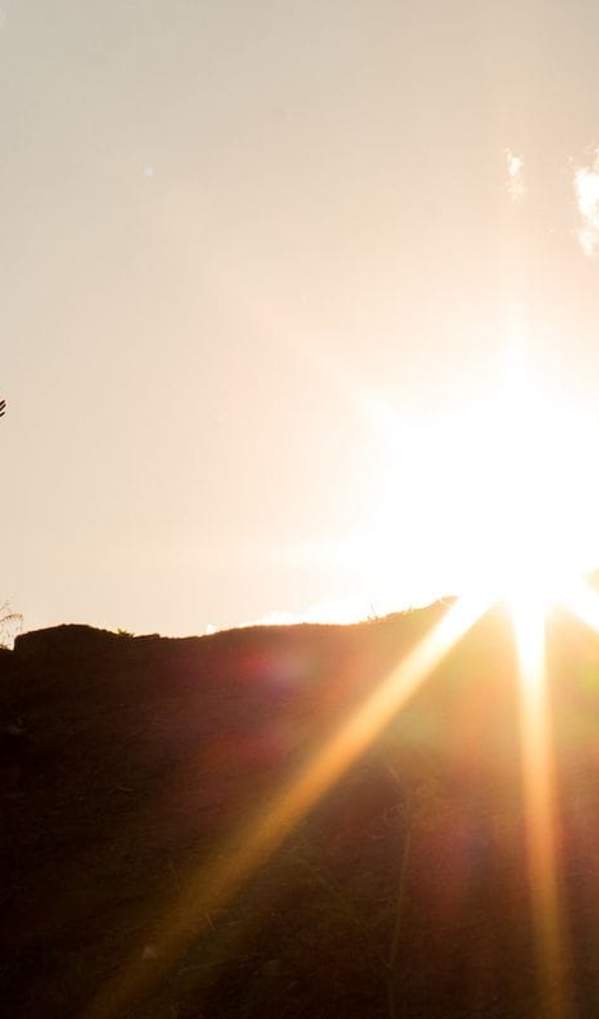 Dr. Lalia Rach Offers Tips on Calmly Moving Forward