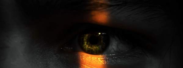 Shedding Light on Human Trafficking