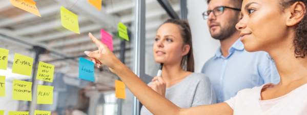 ALHI Blogs - Meeting & Design Experience