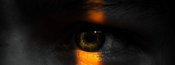 ALHI Blogs - The Code