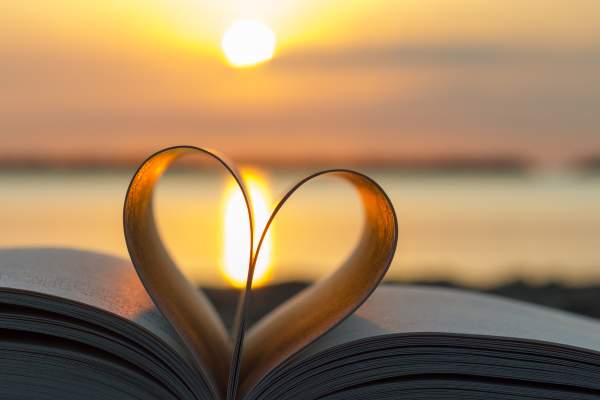 10 Most Read ALHI Weddings Stories in 2025