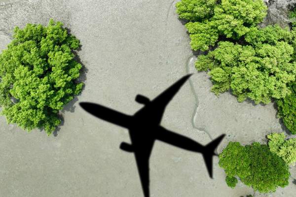Sustainable Business Travel: Steady Progress Despite Challenges