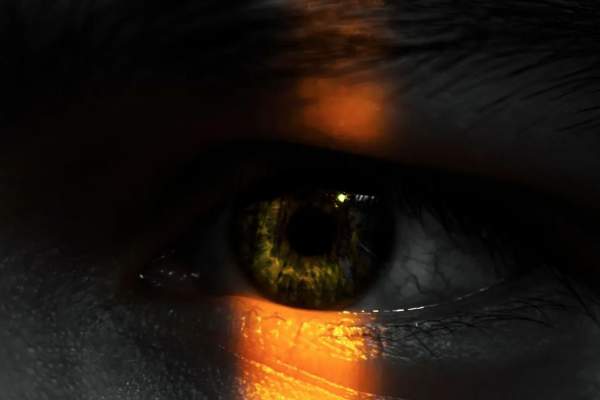 Shedding Light on Human Trafficking