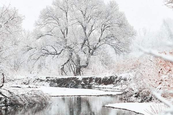 The Time to Plan Your Winter Wonderland Dream Wedding Is Now
