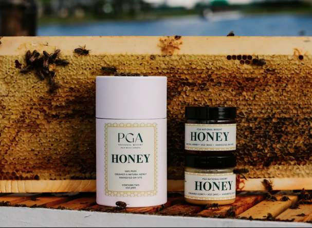 Bees at PGA National Resort
