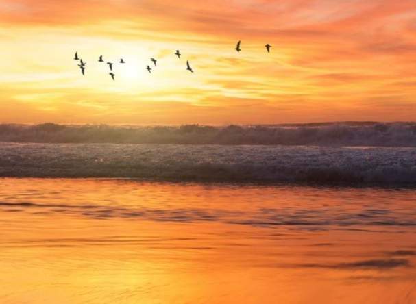 Experience San Diego from Town and Country Resort