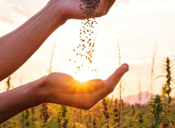 What Seeds are YOU Planting?