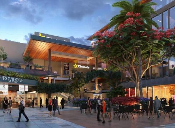 Experience the Coconut Grove Neighborhood from Mayfair House Hotel & Garden