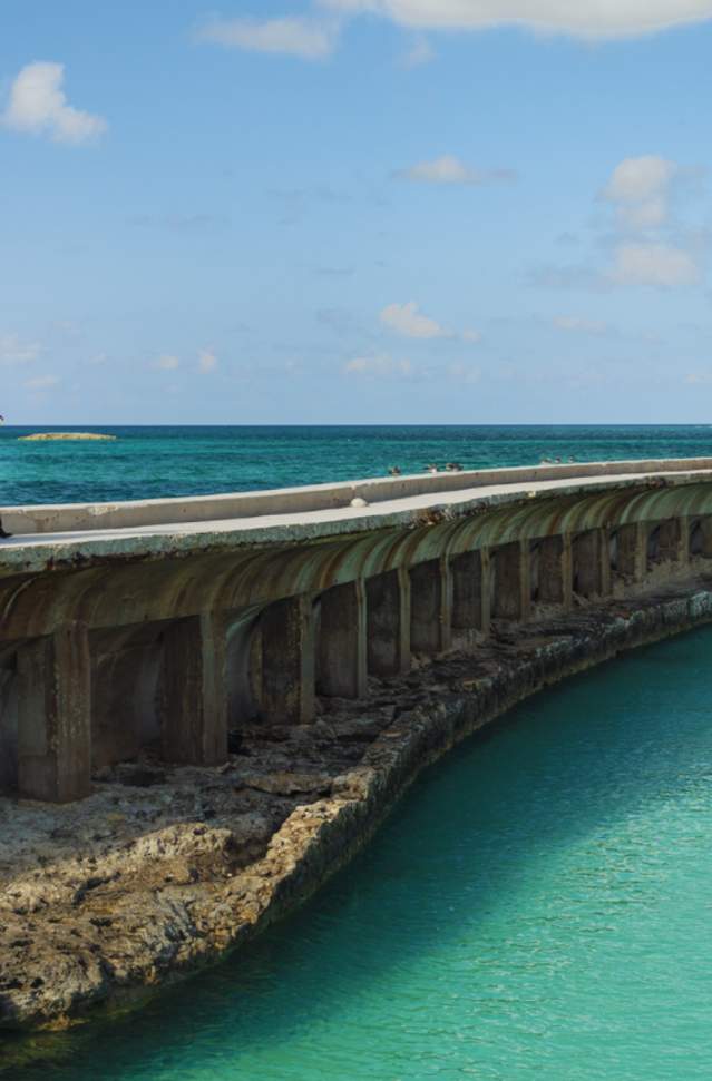 Wedding Educational Corner