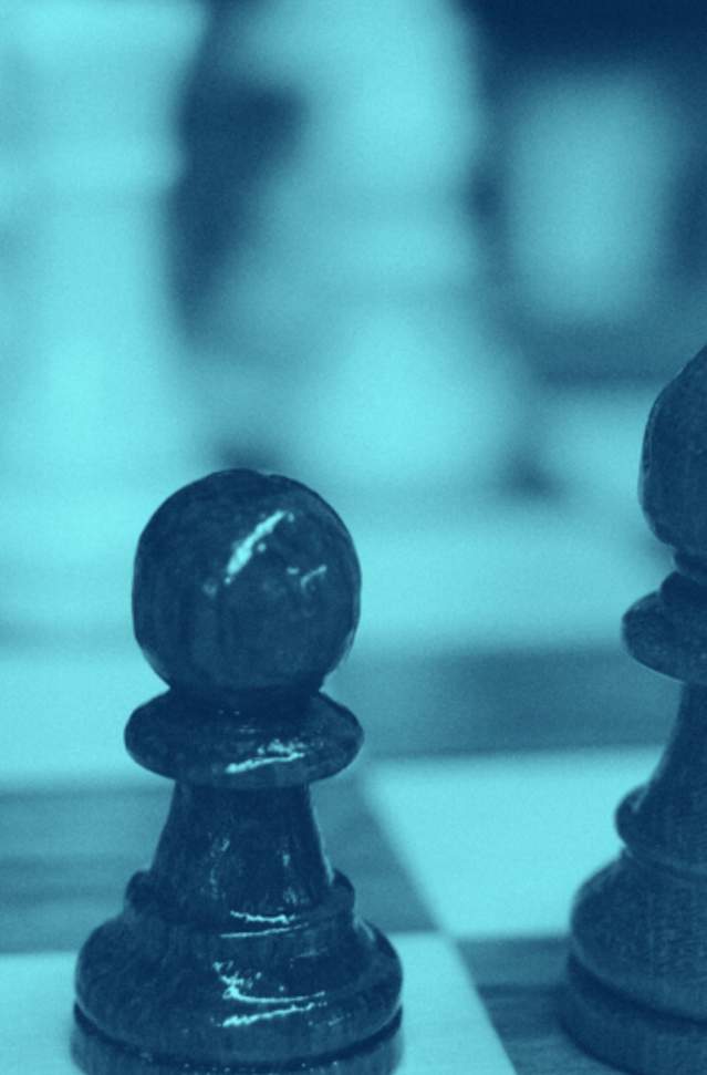 Strategic Partners