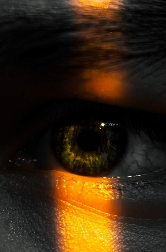 ALHI Blogs - The Code