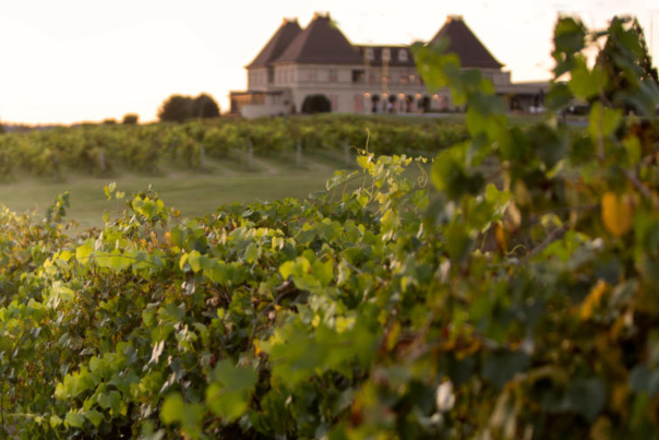 European Style Weddings