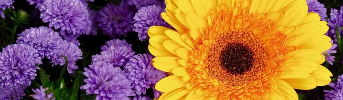 How Wedding Planners Can Stand Out in a Crowded Field