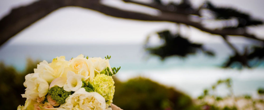 Portola Wedding