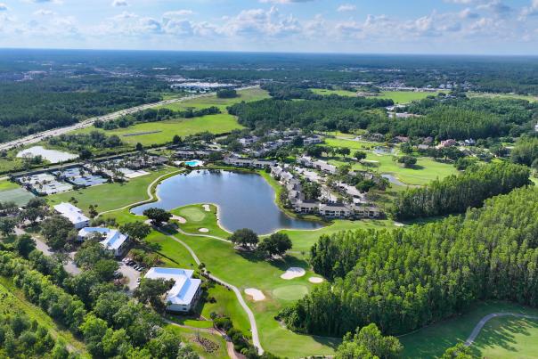 Saddlebrook Resort Aerial