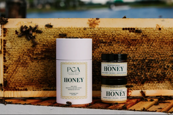 Bees at PGA National Resort