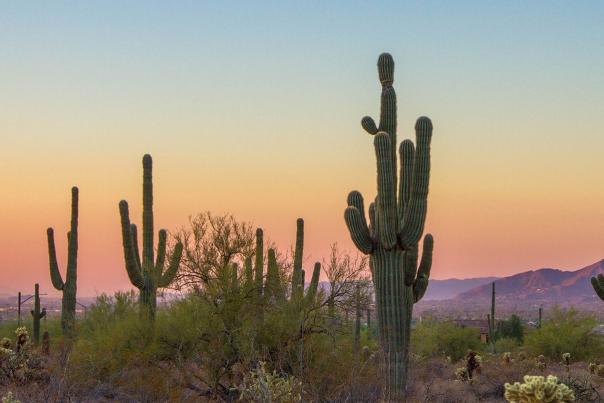 Arizona Inspiration: Phoenix/Scottsdale