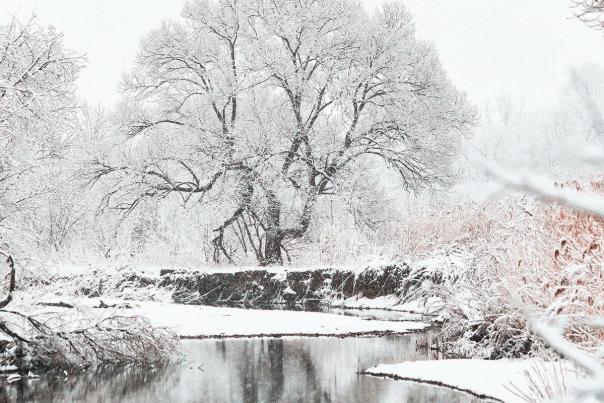 The Time to Plan Your Winter Wonderland Dream Wedding Is Now