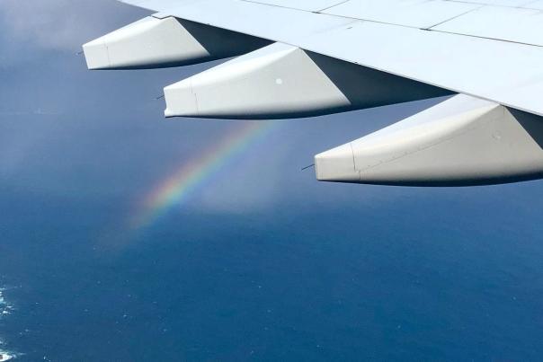 Upward Trend in Bookings Leads Airlines to Expanding Routes and Services
