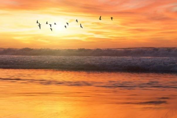 Experience San Diego from Town and Country Resort