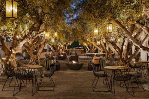 Tommy Bahama Olive Grove Patio