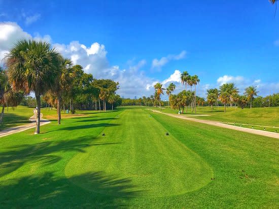 Coconut Grove Golf