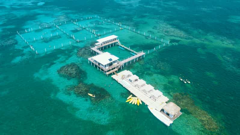 Reef Floating Island