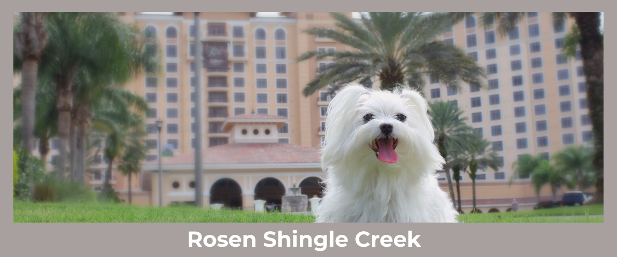 Rosen Shingle Creek