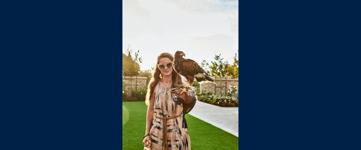 Birds of Feather