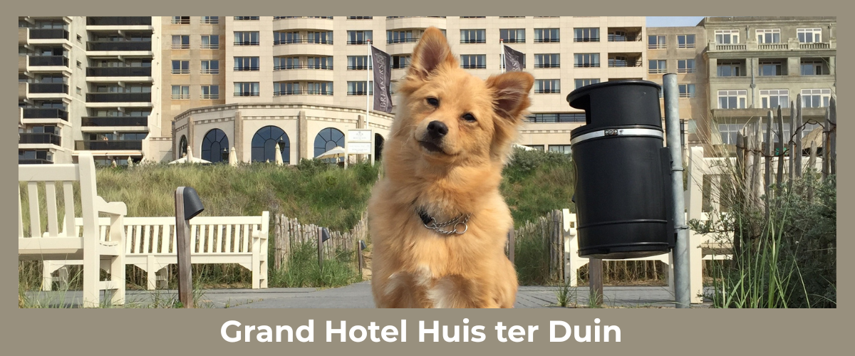 Grand Hotel Huis ter Duin