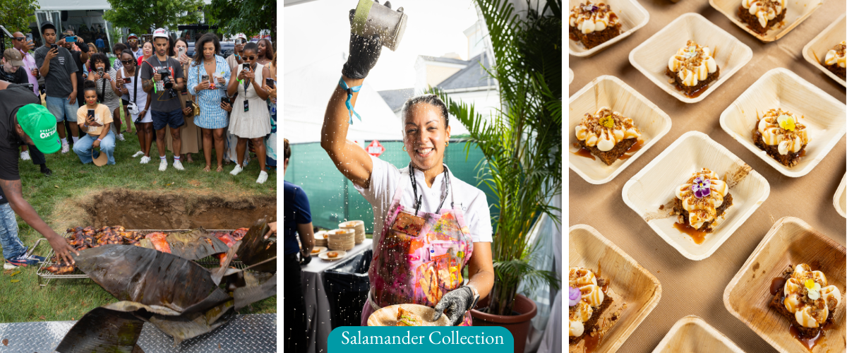 Salamander Collection