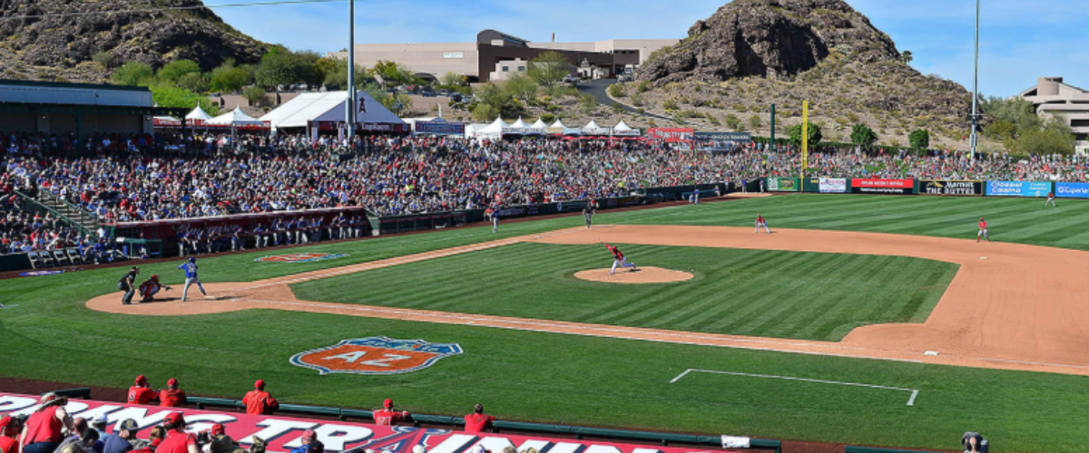 Aricona baseball