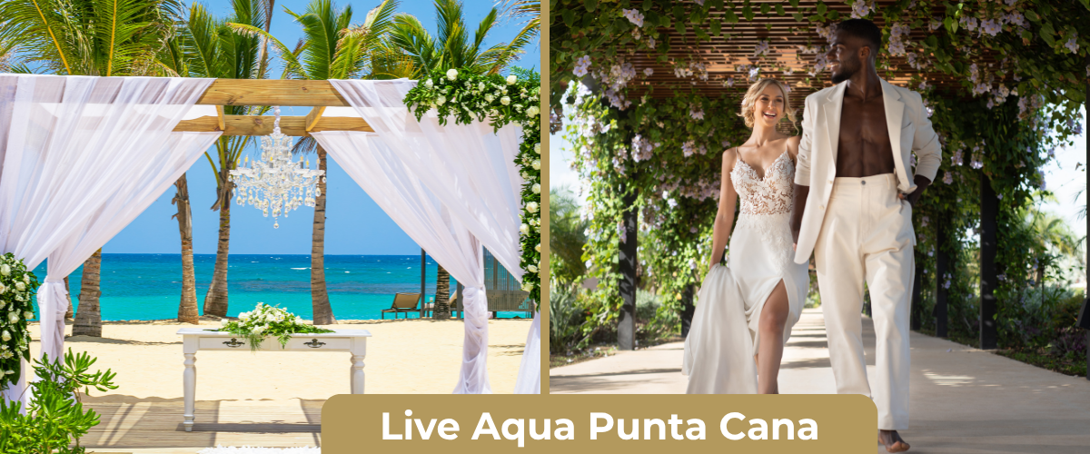 Wedding Live Aqua Punta Cana