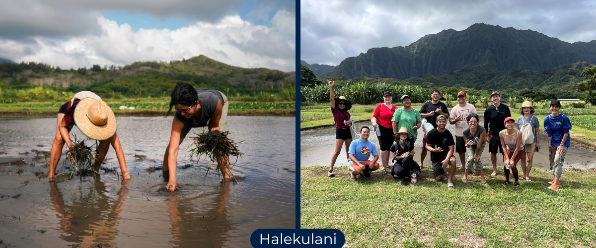 Halekulani