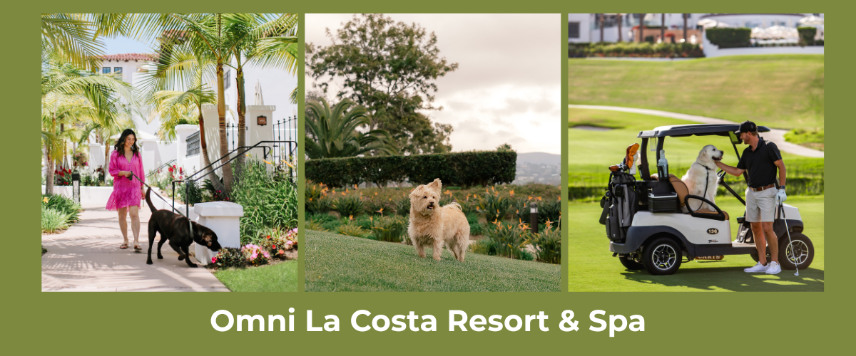 Omni La Costa