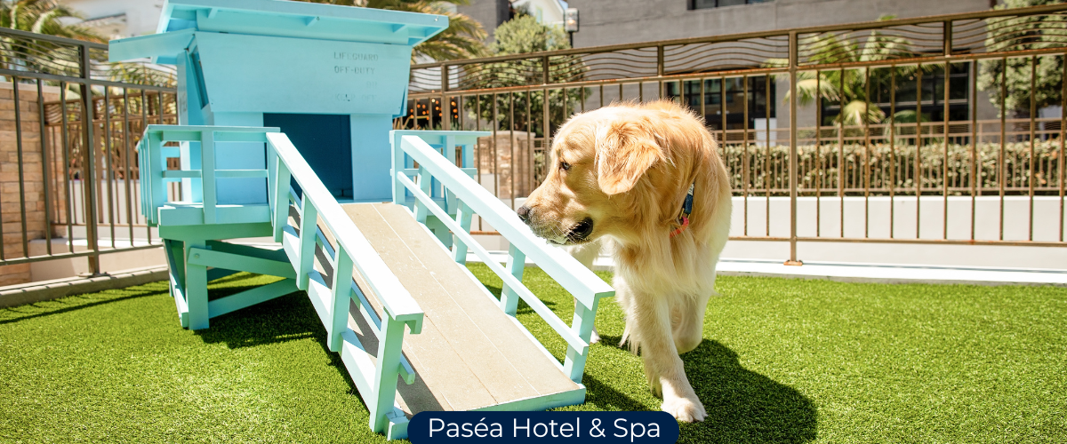 Pasea Hotel & Spa