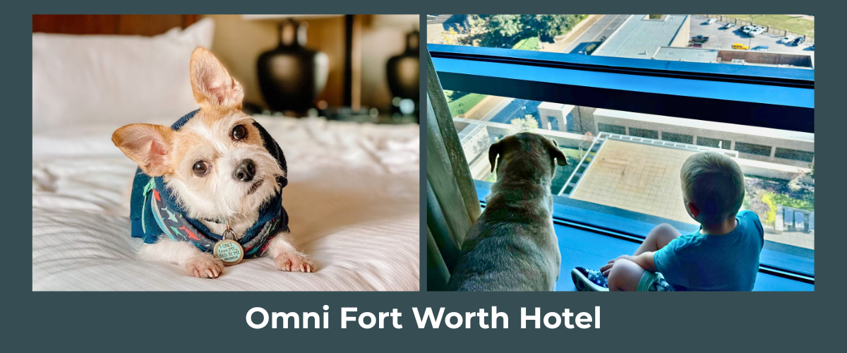 Omni Fort Worth