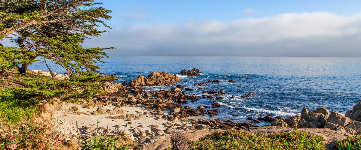Carmel/Monterey
