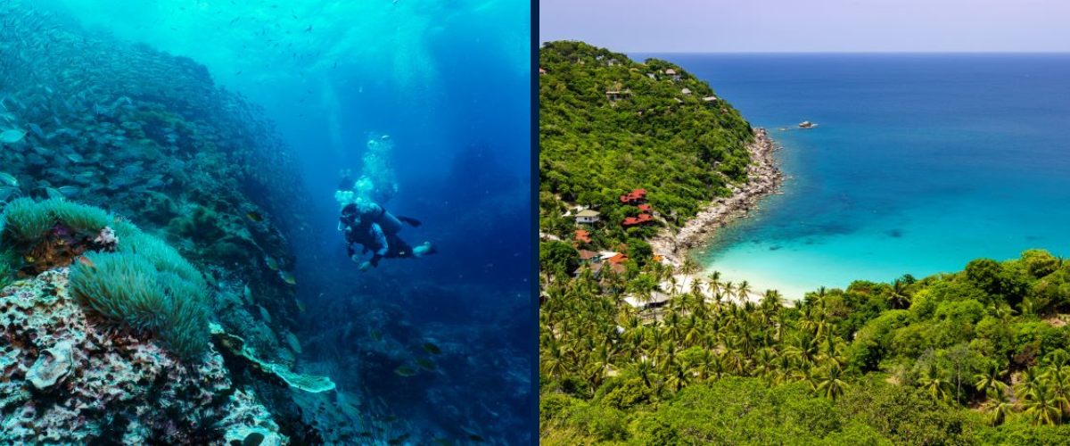 Snorkeling in Koh Tao