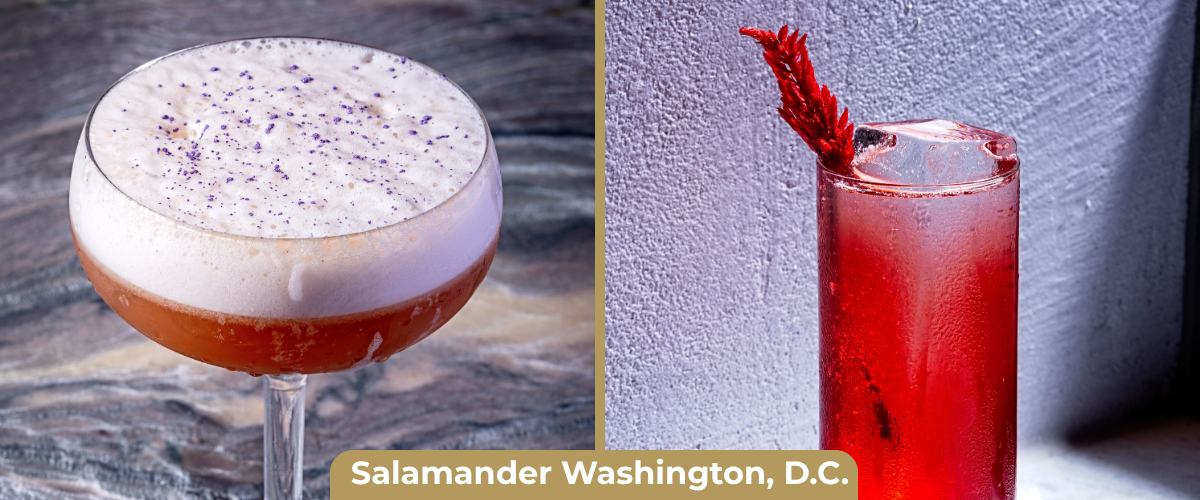 Salamander Washington DC