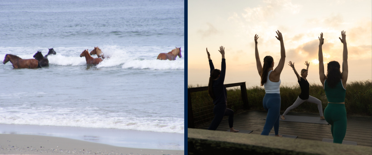 Sanderling Resort Sand Adventures