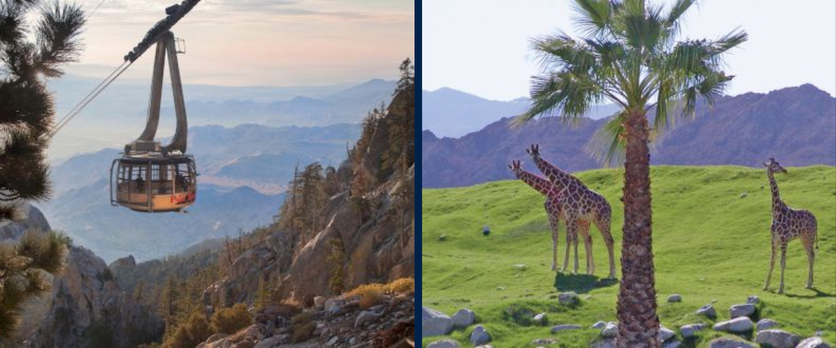 Tommy Bahama Miramonte Experiences